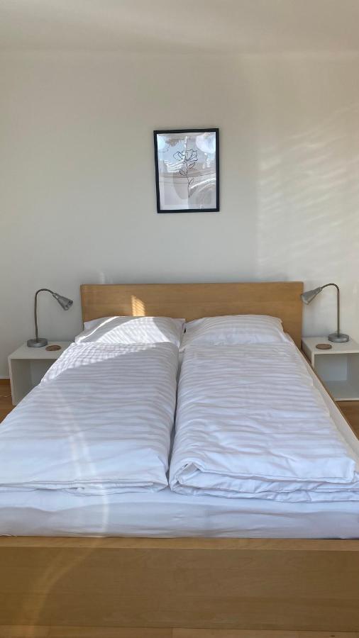 Apartment Am Spitalberg Klagenfurt am Woerthersee